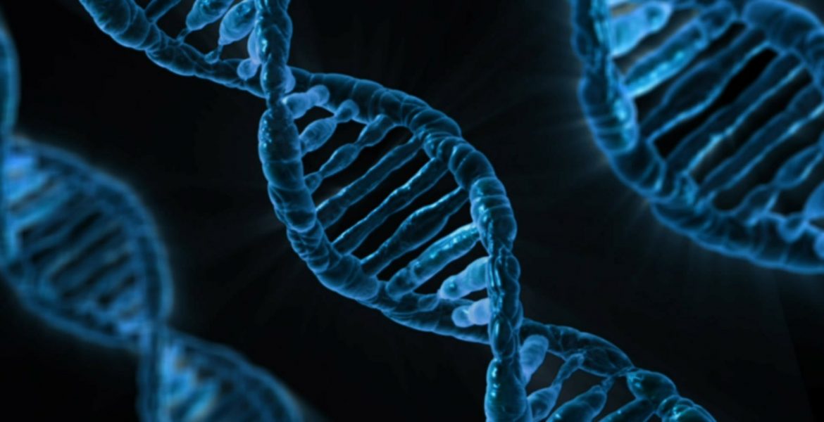 dna-163466_1280 dna-163466_1280
